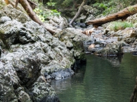 IMG_5724-Pano