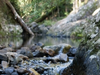 IMG_5739-Pano