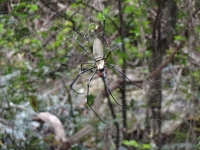 DSC02368_1024x