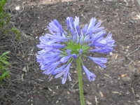 DSCN4480_1024x