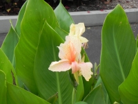 DSCN4599_1024x