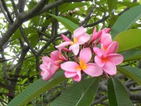 DSCN4600_1024x