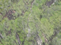 DSCN4684_1024x