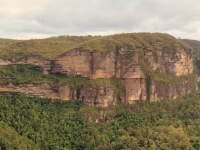 IMG_1431-Pano