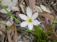 DSCN4990_1024x