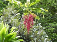 DSCN5008_1024x