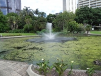 DSCN5009_1024x