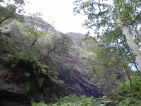 DSCN5087_1024x