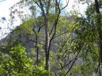 DSCN5112_1024x