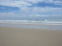 IMG_4688_1024x