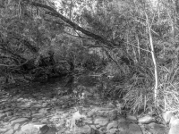 IMG_3969