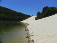 DSCN5562_1600