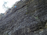 DSCN5941_1600