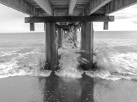 IMG_8192