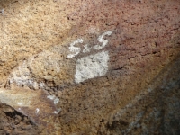 DSC02608