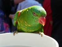 P1020236