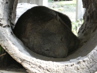 P1020508