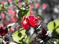 blog-9519-2