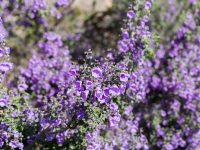 01blog-9769