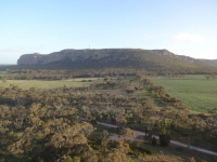 06DSC02817