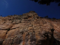 08DSC02919