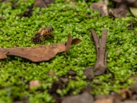IMG_8426