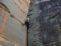 IMG-20220104-WA0003