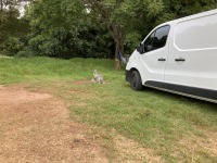 Unser Van hat Besuch