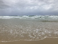 Wellenreiten in Burleigh Heads