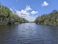 Noosa Everglades