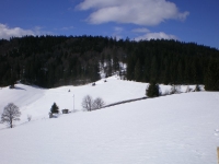 schwarzwald1.jpg